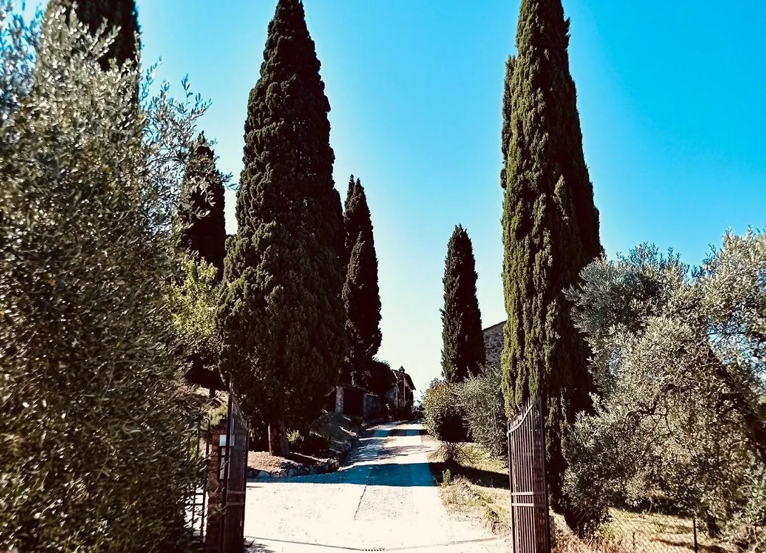 Apartment Montagnana Country House San Gimignano